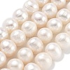Natural Cultured Freshwater Pearl Beads Strands PEAR-C003-19D-2