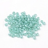 Glass Seed Beads SEED-A011-3mm-154-1-2