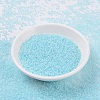 MIYUKI Round Rocailles Beads SEED-G007-RR0220-2