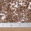 MIYUKI Delica Beads SEED-X0054-DB1759-2