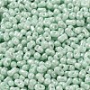 Glass Seed Beads SEED-K009-02A-04-3