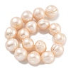 Natural Cultured Freshwater Pearl Beads Strands PEAR-C003-21D-3