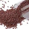 TOHO Round Seed Beads SEED-JPTR15-2641F-1