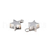 Non-Tarnish 304 Stainless Steel Charms STAS-N095-138-2