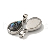 Rack Plating Brass Pave Natural Paua Shell Pendants KK-U025-08P-01-2