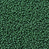 MIYUKI Round Rocailles Beads SEED-G007-RR2048-3