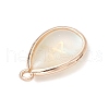 Natural Paua Shell Teardrop Pendants PALLOY-JF03762-02-4