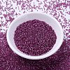 MIYUKI Delica Beads SEED-X0054-DB2162-2