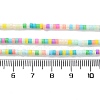 Handmade Czech Lampwork Beads Strands LAMP-L078-008I-4