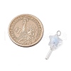 5Pcs Acrylic & Glass Pendants PALLOY-JF03526-02-5