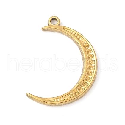 304 Stainless Steel Pendants STAS-R162-03G-07-1