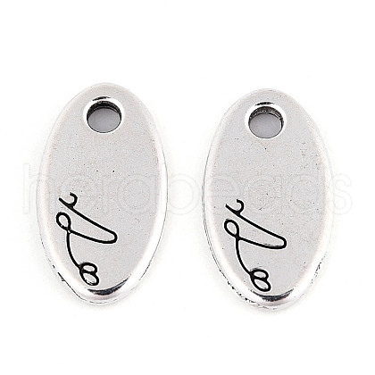 Tibetan Style Alloy Charms TIBE-N013-04AS-1