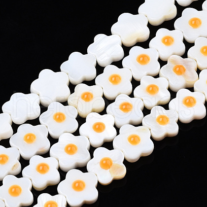 Natural Freshwater Shell Beads Strands SHEL-N003-31C-01-1