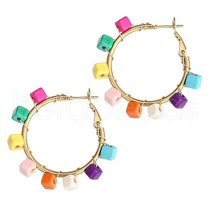 201 Stainless Steel Acrylic Hoop Earrings FS-WG443EA-08-1