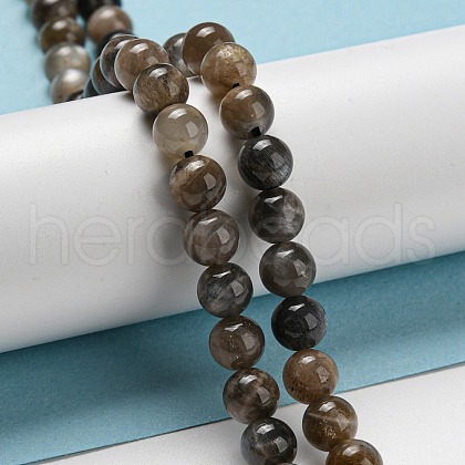 Natural Black Moonstone Beads Strands G-A219-A01-03-1