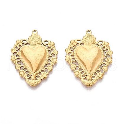 304 Stainless Steel Pendants STAS-N111-12G-1