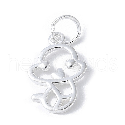 925 Sterling Silver Chinese Zodiac Outline Charms STER-P066-02S-06-1