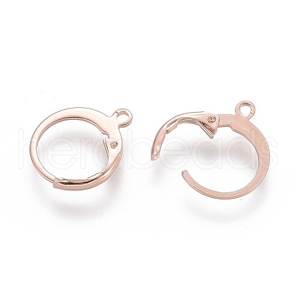 304 Stainless Steel Leverback Earring Findings STAS-D448-041RG-1