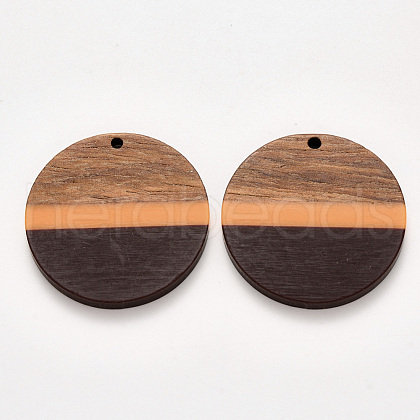 Resin & Walnut Wood Pendants X-RESI-S384-009A-A02-1