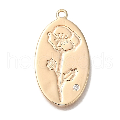 Brass Micro Pave Cubic Zirconia Pendants KK-U038-05G-11-1