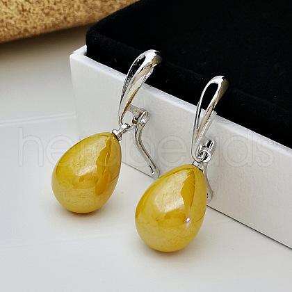Brass Plastic Hoop Earrings WG47D07-02-1