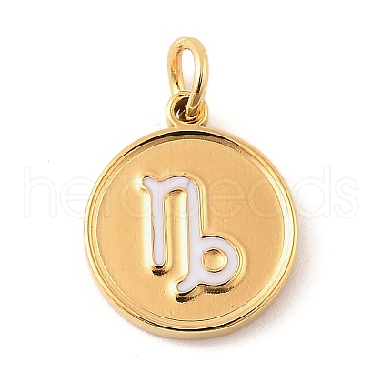 304 Stainless Steel Enamel Charms STAS-Z101-10G-12-1