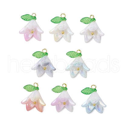 Opaque Acrylic Pendants PALLOY-JF03267-1