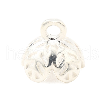 S925 Sterling Silver Charms STER-Q006-04S-1