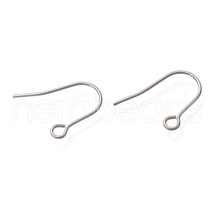 Tarnish Resistant 304 Stainless Steel Earring Hooks STAS-P263-04P-1