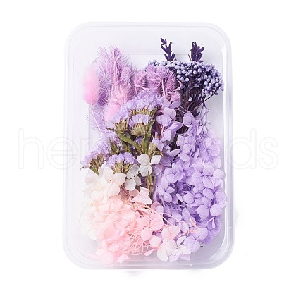 Dried Flowers DIY-D052-11-1