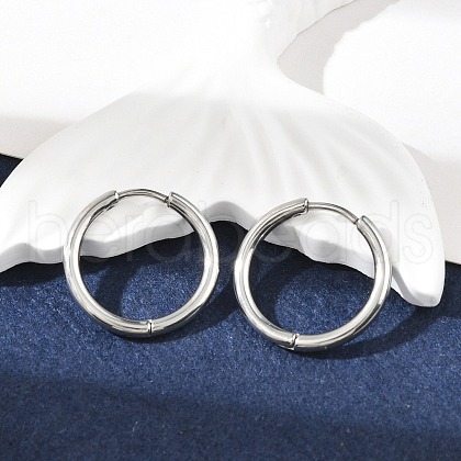 Tarnish Resistant 304 Stainless Steel Hoop Earrings EJEW-P177-P-09-1