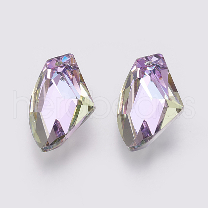 K9 Glass Rhinestone Pendants GLAA-K034-D02-1