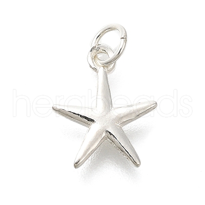 925 Sterling Silver Charms STER-Q003-01C-S-1