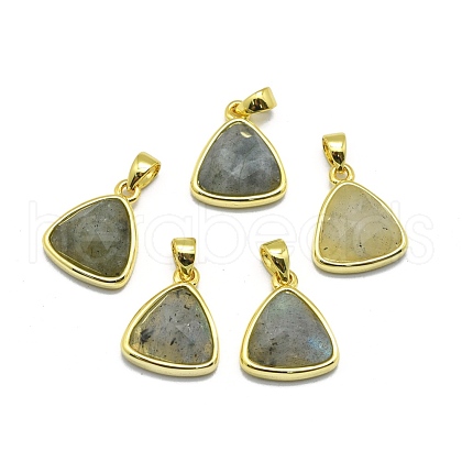 Natural Labradorite Pendants G-O176L-05G-1
