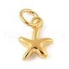 925 Sterling Silver Starfish Charms with Jump Rings STER-R013-01G-1
