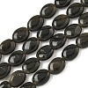 Natural Golden Sheen Obsidian Beads Strands G-Z006-A40-2