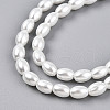 Baking Painted Pearlized Glass Pearl Bead Strands HY-T002-01C-01-2