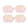 Baking Paint Glass Beads GLAA-S202-13B-1