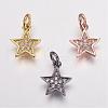Brass Micro Pave Cubic Zirconia Charms ZIRC-G087-35-1