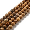 Natural Picture Jasper Beads Strands G-E571-39-1