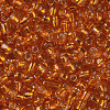 6/0 Glass Seed Beads SEED-US0003-4mm-29-2