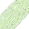 Natural Prehnite Beads Strands G-G106-A26-01-1
