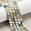 Natural Myanmar Jade Beads Strands G-E576-08A-1