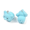 Flocky Resin Pendants FIND-A052-05E-2