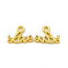 Rack Plating Alloy Charms FIND-G045-17MG-1