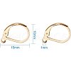 304 Stainless Steel Leverback Earring Findings STAS-PH0018-28G-2