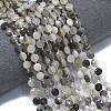 Natural Cloudy Quartz Beads Strands G-K389-B40-01-2