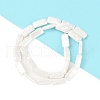 Electroplated Shell Pearl Beads Strands BSHE-C007-C01-01-3