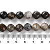 Natural Petrified Wood Beads Strands G-NH0021-A12-02-5