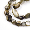 Natural White Shell Beads Strands SHEL-N036-21A-3